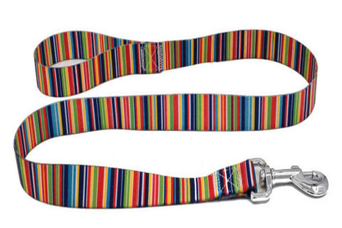 dogestyles-rainbow-coloured-nylon-dog-leash