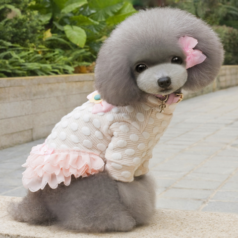 Dog Dresses