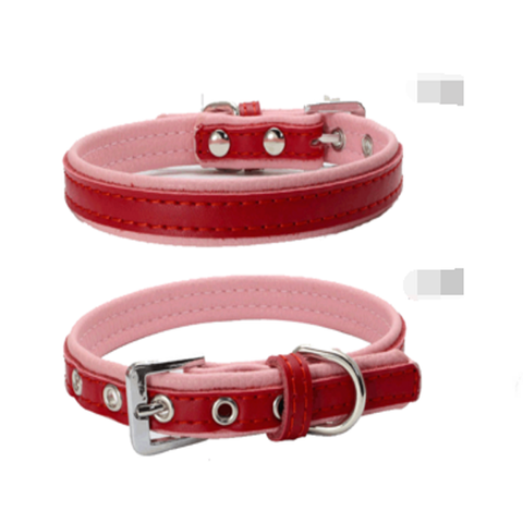 Dog Collars