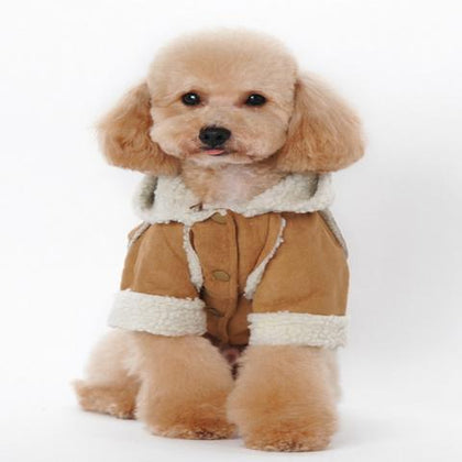 Dog Jackets
