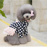 dogestyles-black-polka-dot-dog-dress