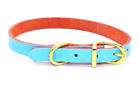 dogestyles-sky-blue-leather-dog-collar