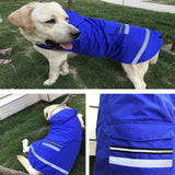 dogestyles-blue-raincoat