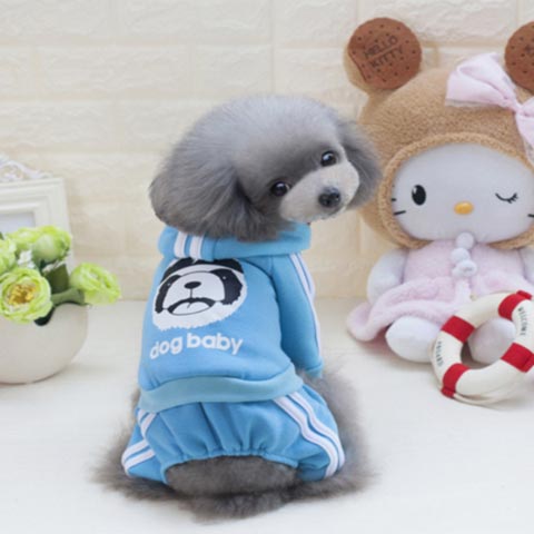 dogestyles-blue-jogger-dog-jumper-back