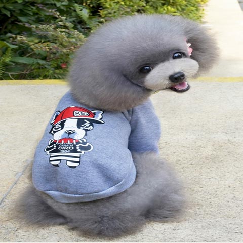dogestyles-ciro-dog-jumper-back