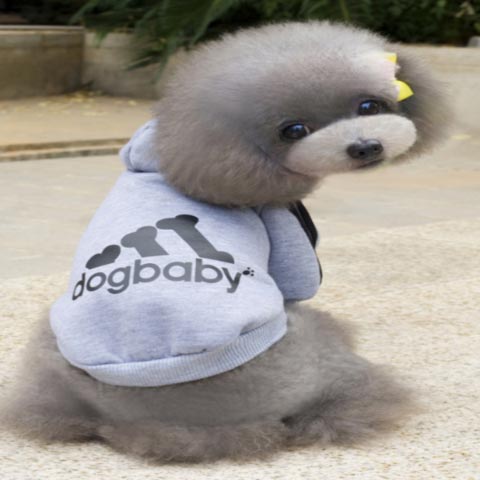dogestyles-grey-hoodie-dog-jumper-back