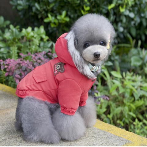 red-parka-dog-jacket